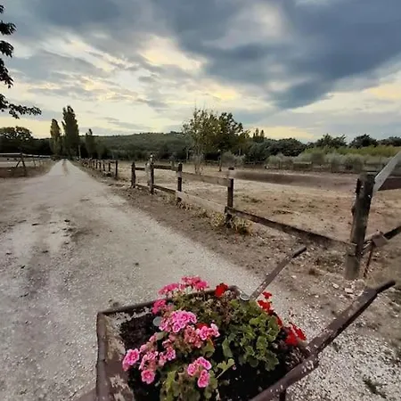 Bed & Breakfast D'hotes, Domaine Les Peupliers,